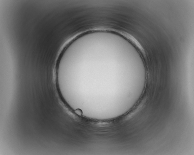 X0000115780839200911131005