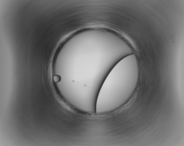 X0000115780840200911131005