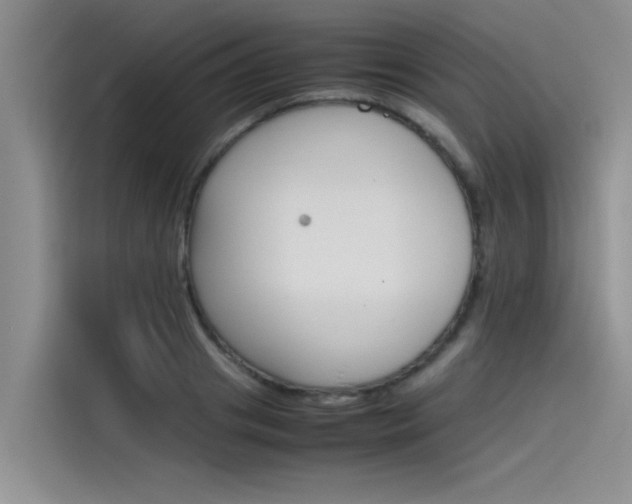 X0000115780841200911131005