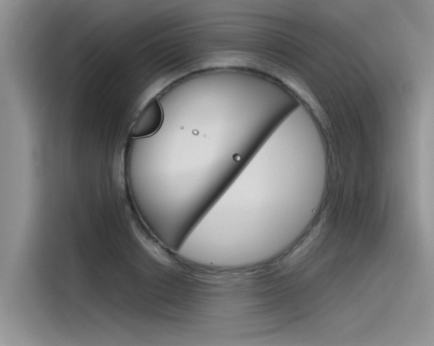 X0000115780842200911131005