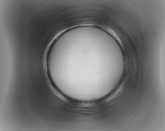 X0000115780843200911131005
