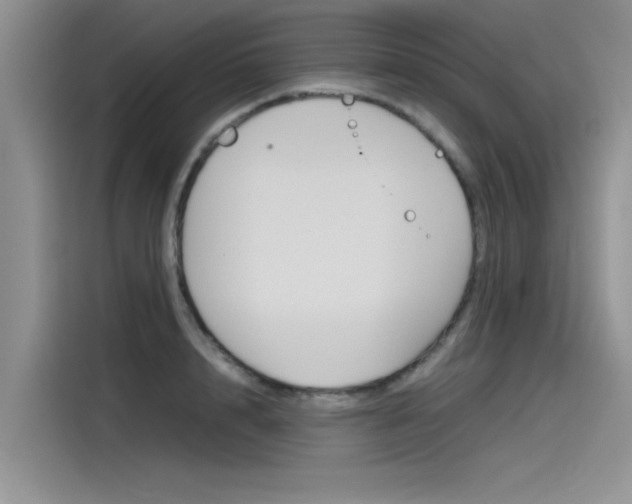 X0000115780848200911131005