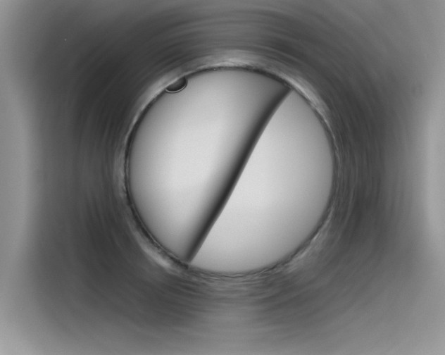 X0000115780850200911131005