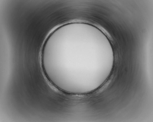 X0000115780854200911131005