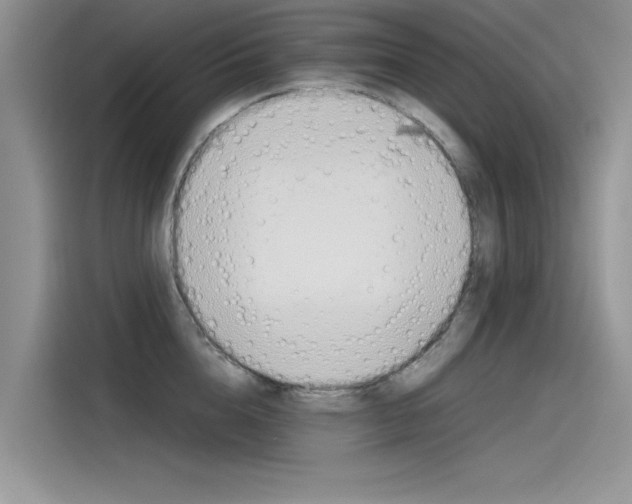 X0000115780856200911131005