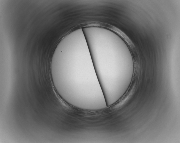 X0000115780857200911131005