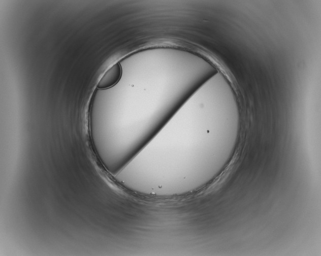 X0000115780858200911131005