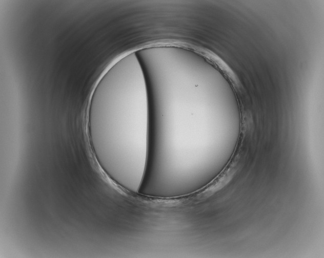 X0000115780860200911131005