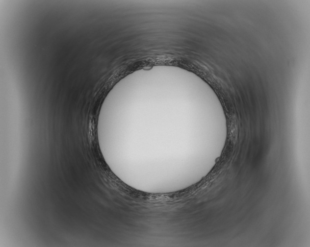 X0000115780866200911131004