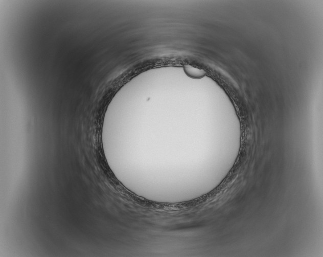 X0000115780869200911131004
