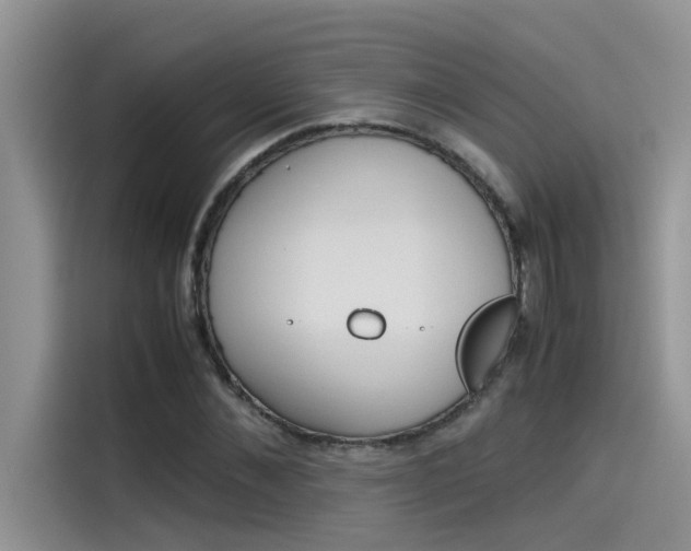 X0000115780876200911131004
