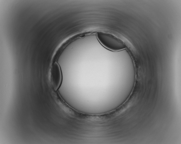 X0000115780880200911131004