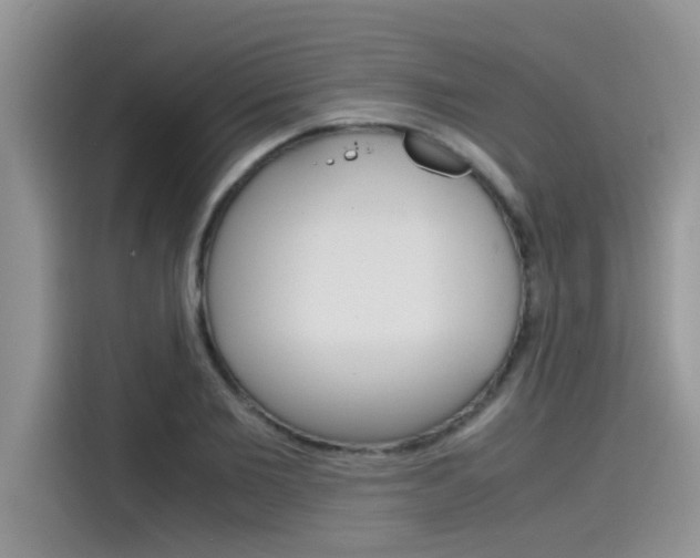 X0000115780885200911131004