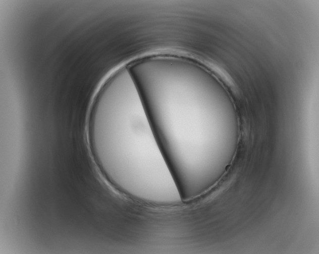X0000115780888200911131004
