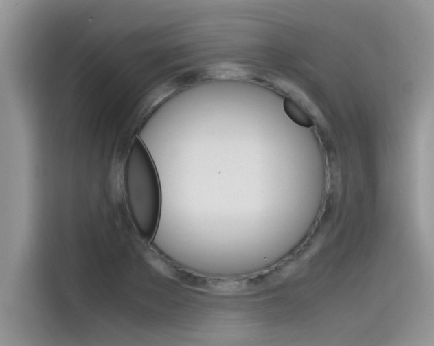 X0000115780889200911131004