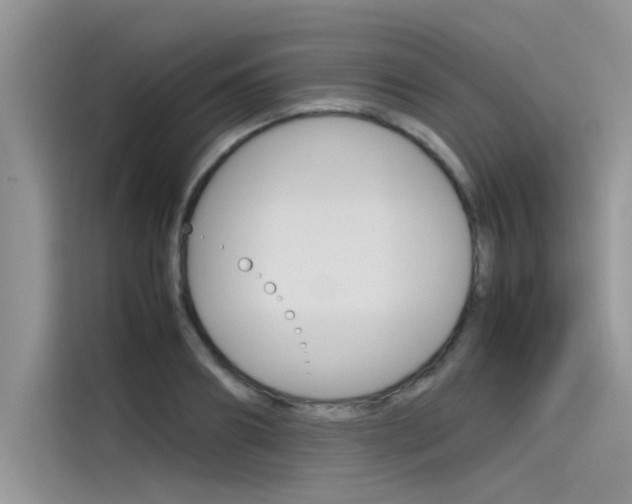 X0000115780890200911131004