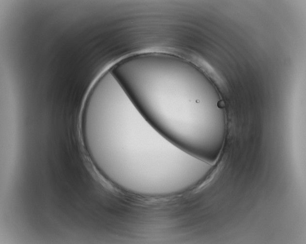 X0000115780892200911131004