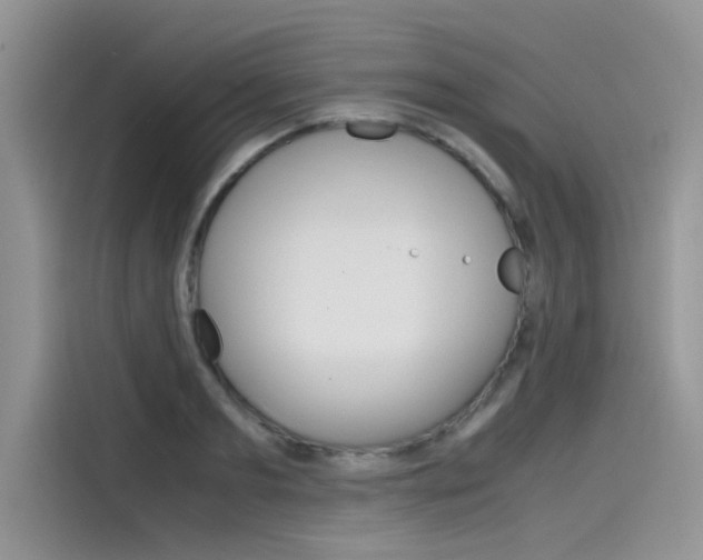 X0000115780893200911131004