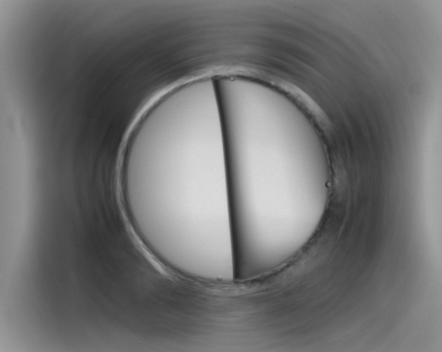 X0000115780894200911131004