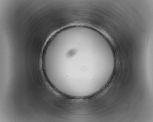 X0000115780896200911131004