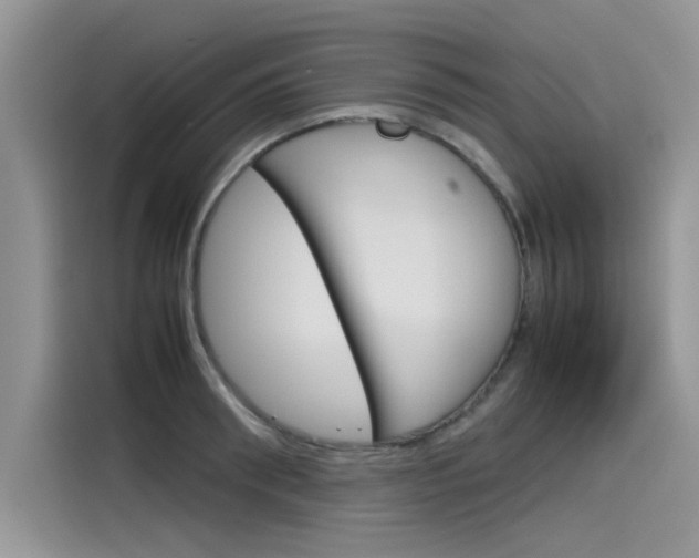 X0000115780898200911131004