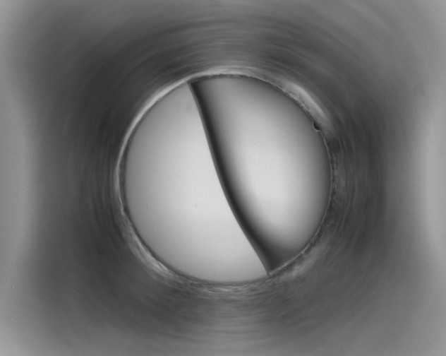X0000115780900200911131004