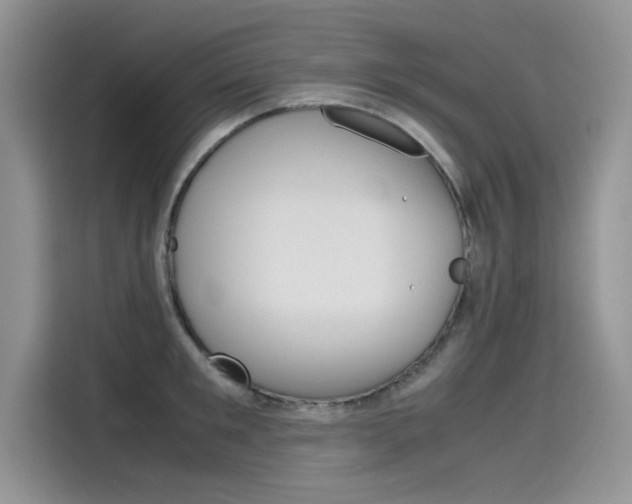 X0000115780901200911131004