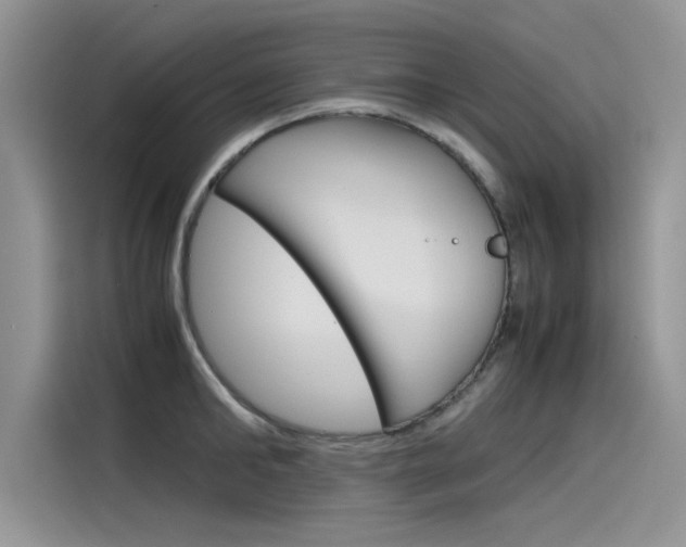 X0000115780902200911131004