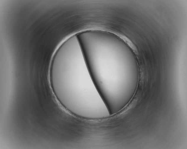 X0000115780904200911131004