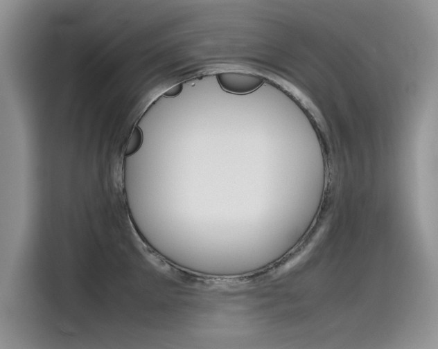 X0000115780905200911131004