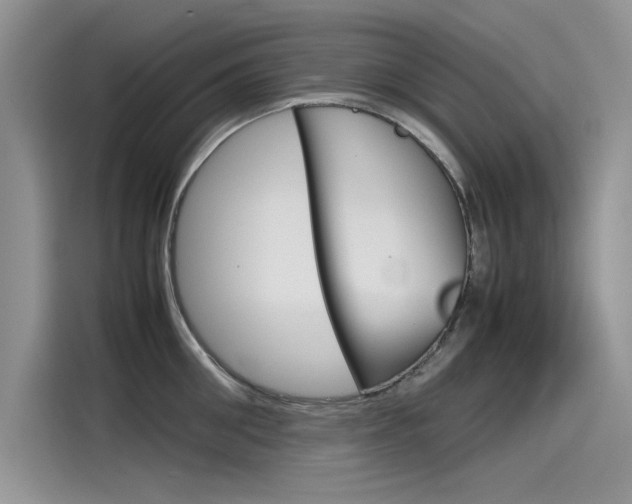 X0000115780906200911131004