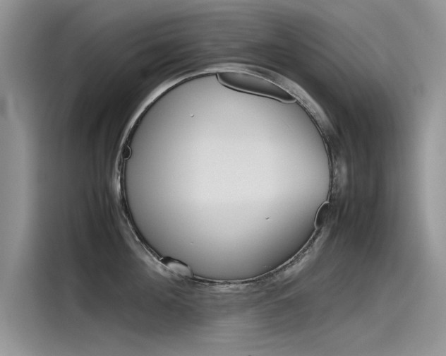 X0000115780908200911131004