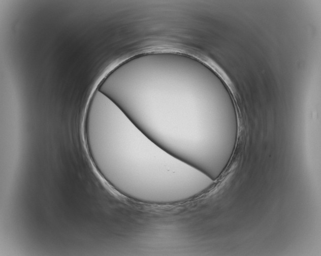 X0000115780909200911131004