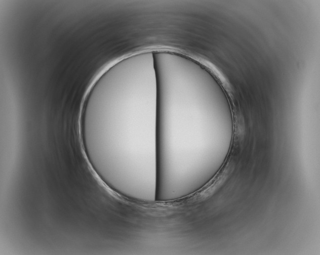 X0000115780910200911131004