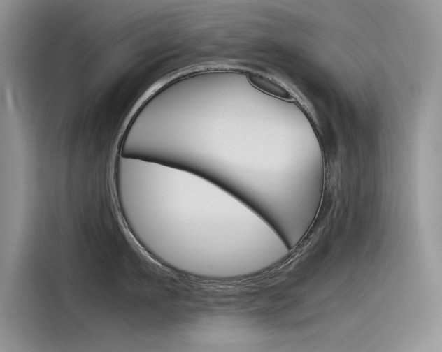 X0000115780911200911131004