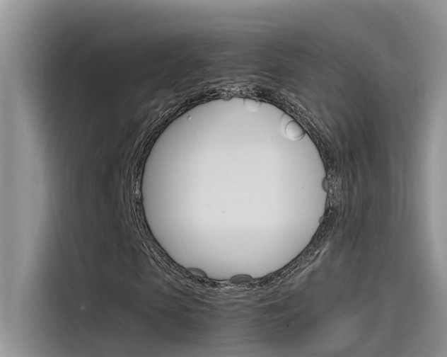 X0000115780913200911131003
