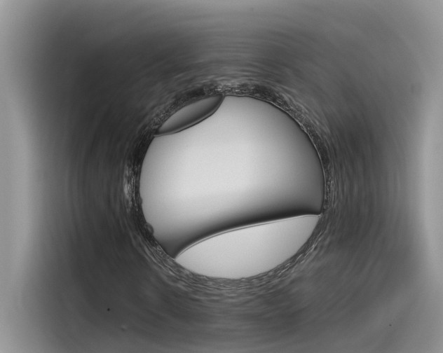 X0000115780914200911131003