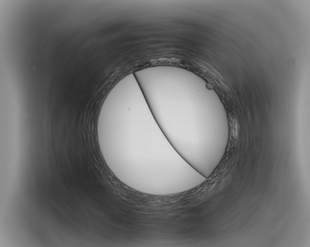 X0000115780915200911131003