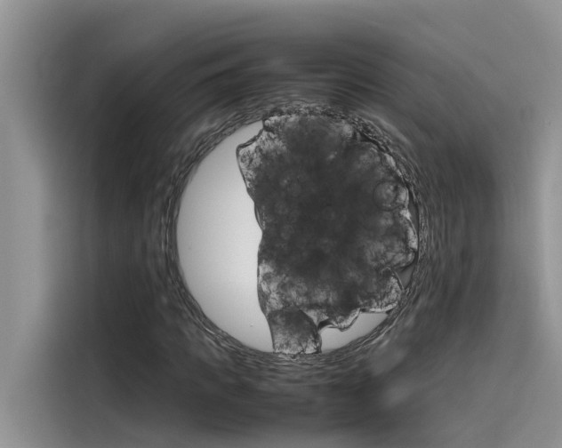 X0000115780917200911131003