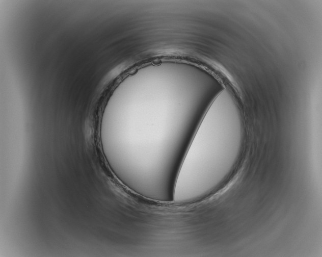 X0000115780922200911131003