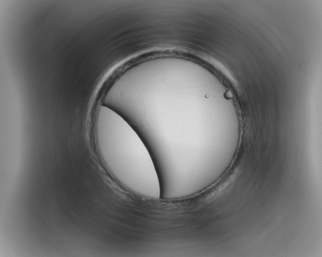 X0000115780927200911131003