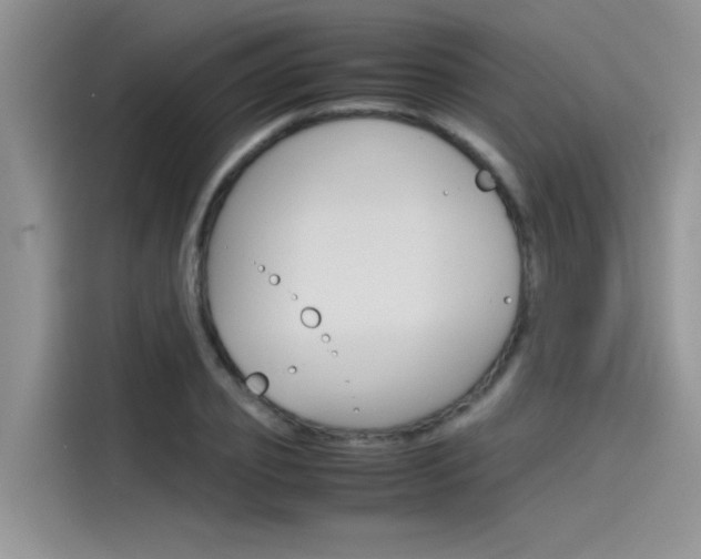 X0000115780933200911131003