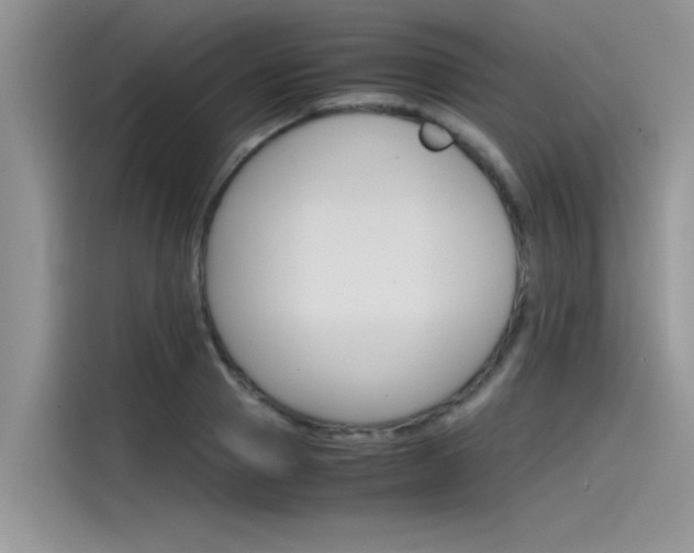 X0000115780937200911131003