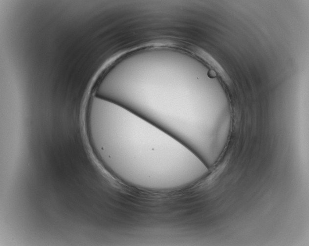 X0000115780939200911131003