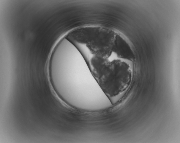 X0000115780941200911131003