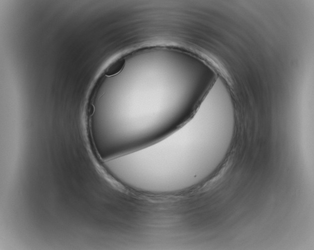 X0000115780942200911131003