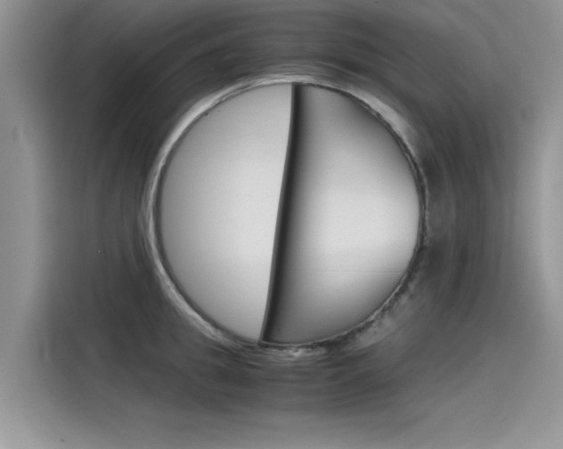 X0000115780949200911131003