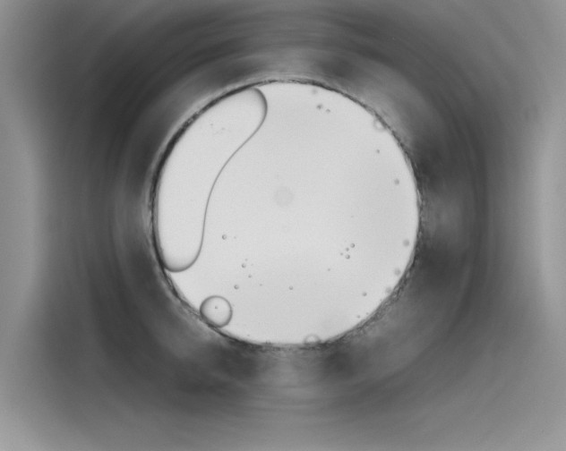 X0000115780950200911131003