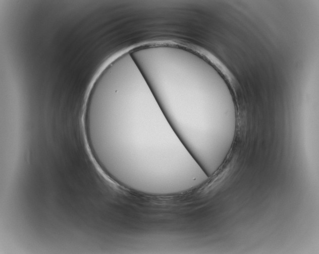 X0000115780951200911131003