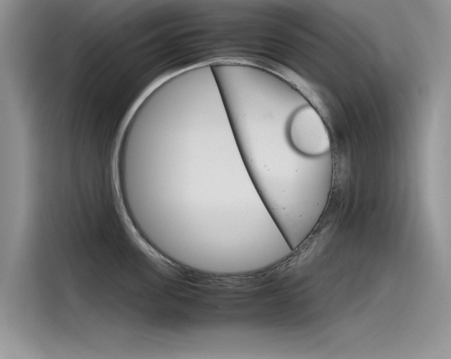 X0000115780955200911131004